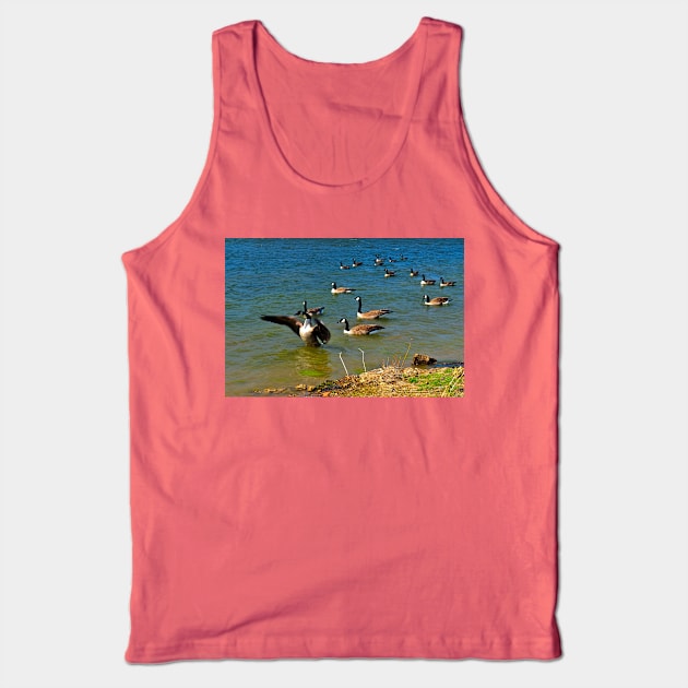 Geese Sitting on Lake Tank Top by michaelasamples